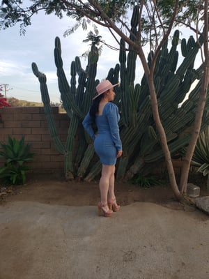 Image of Janeth Denim Dress 