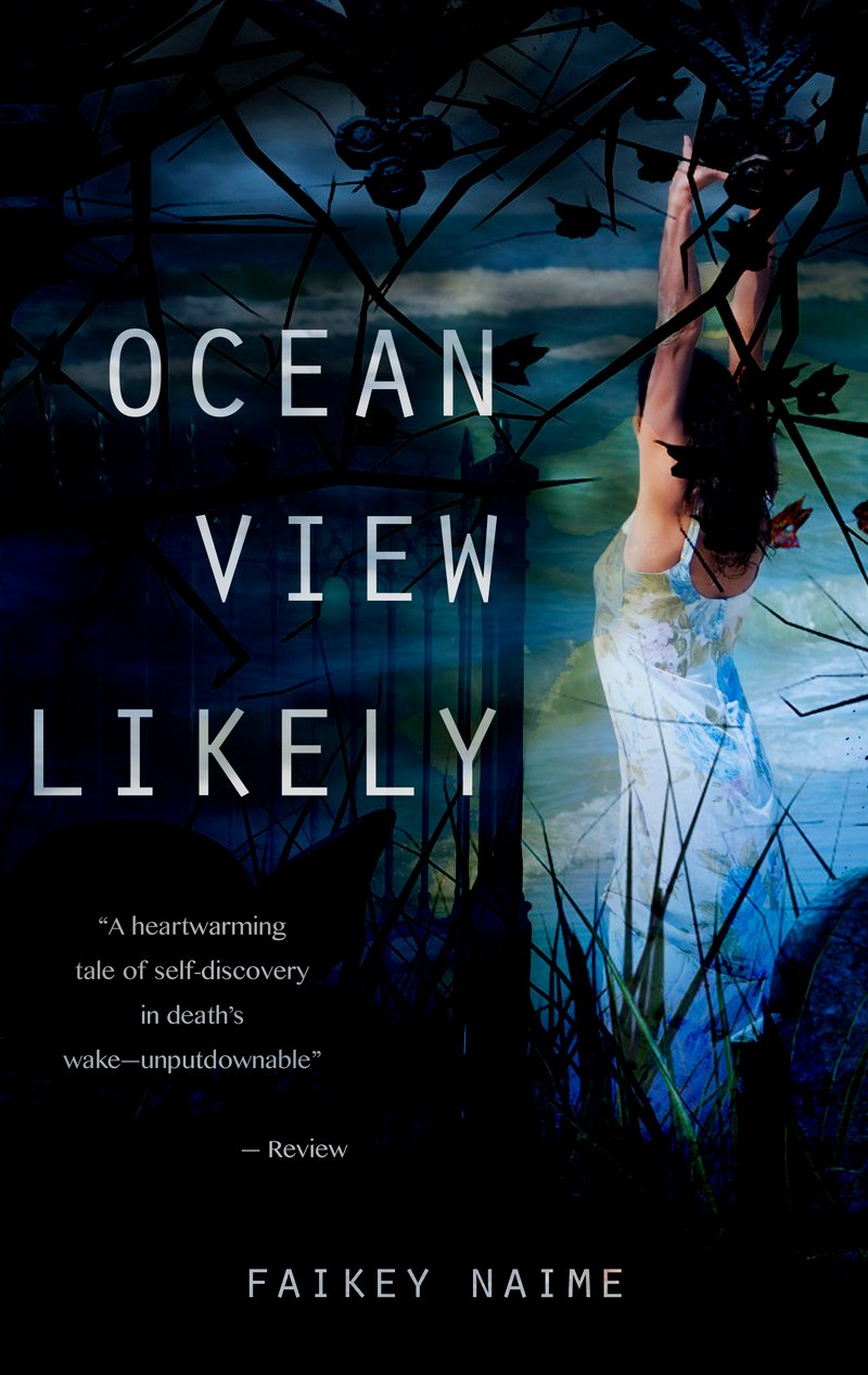 Image of "Ocean View Likely"