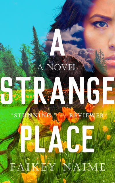 Image of "A Strange Place"