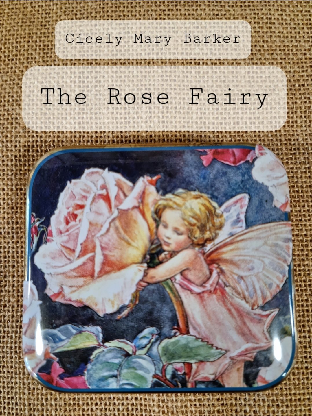 Image of Flower Fairy Tin - Rose Fairy