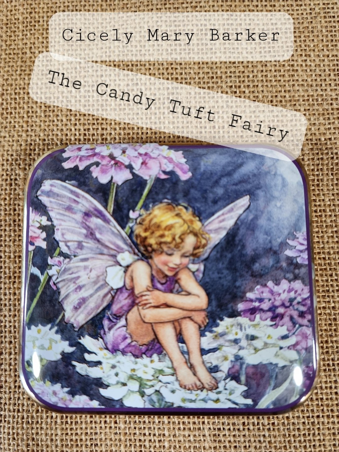 Image of Flower Fairy Tin  - Candy Tuft Fairy