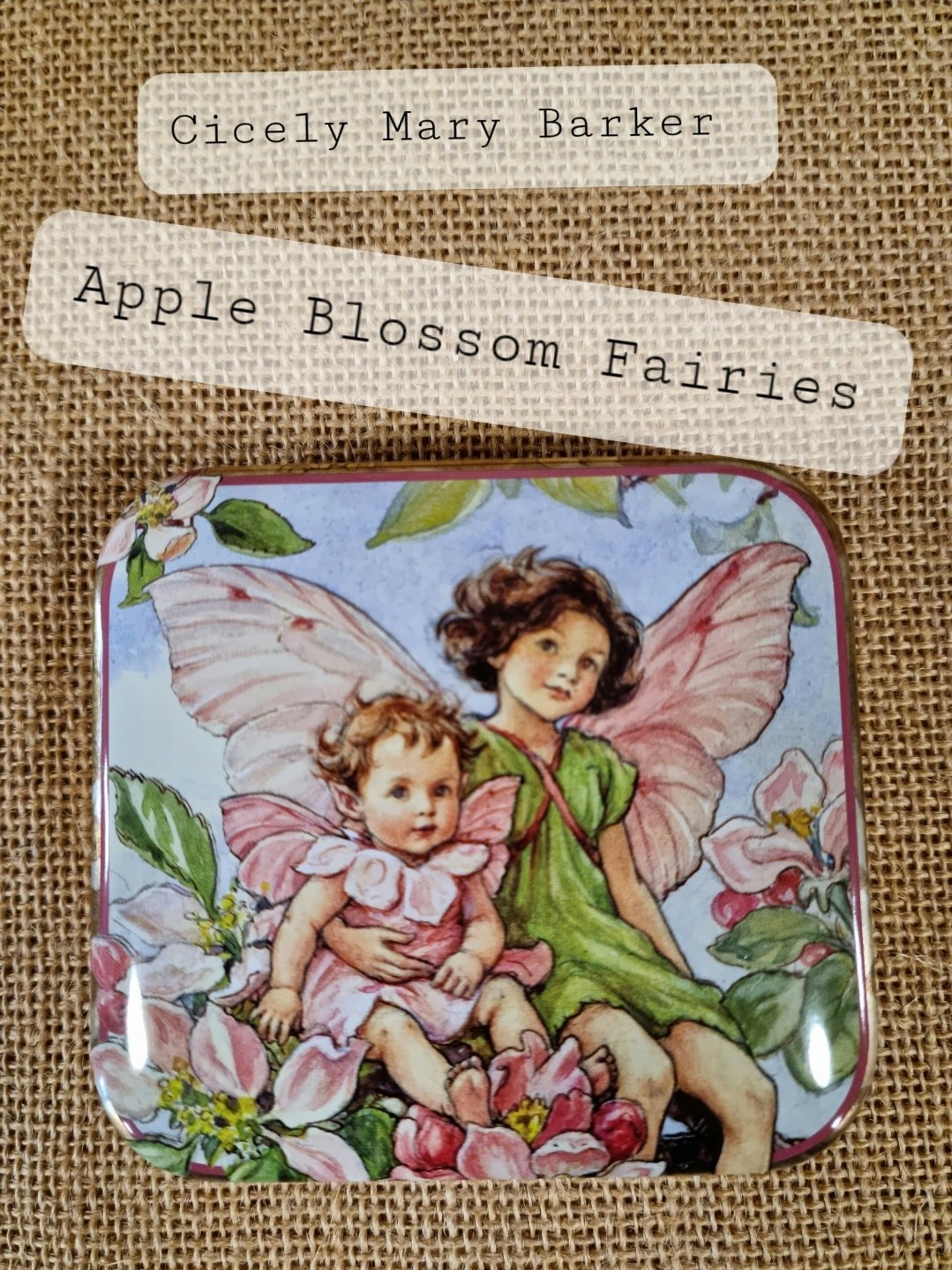 Image of Flower Fairy Tin - Apple Blossom Fairies