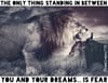 The Only Thing Standing In Between You And Your Dreams Is Fear