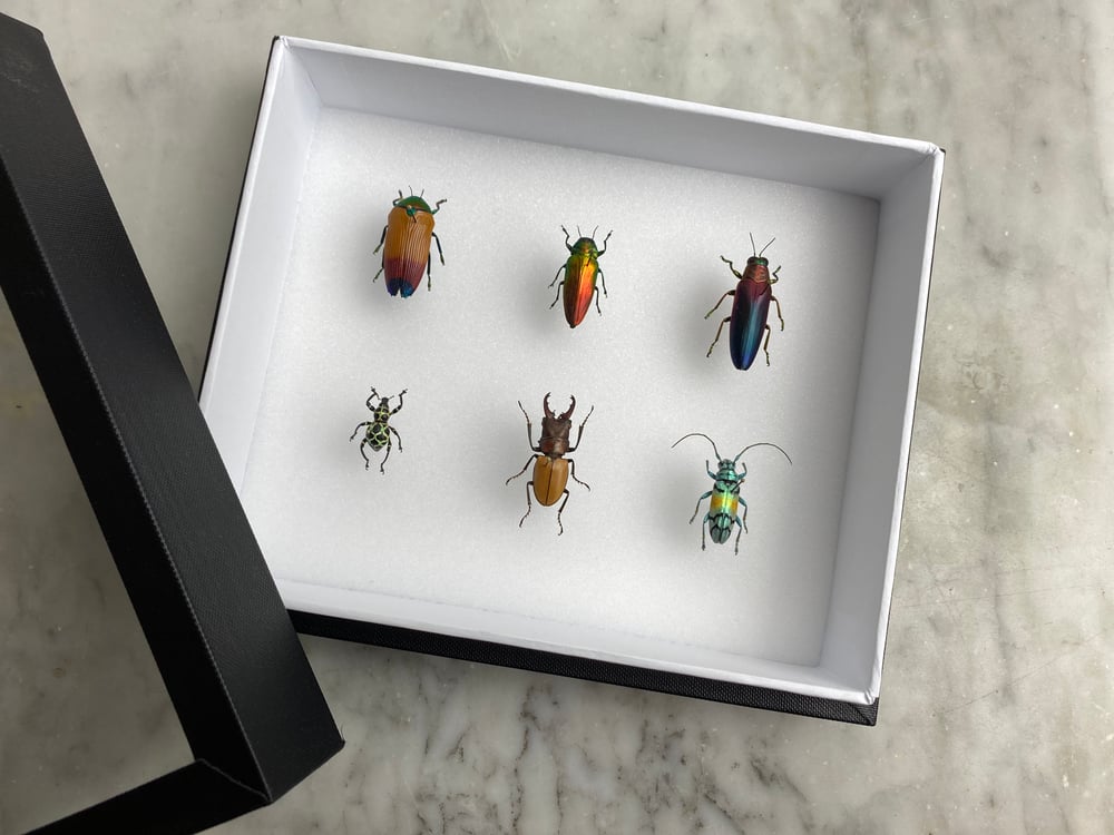 Image of LITTLE JEWELRY BOX (#07)