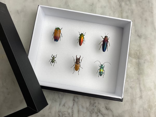 Image of LITTLE JEWELRY BOX (#07) 