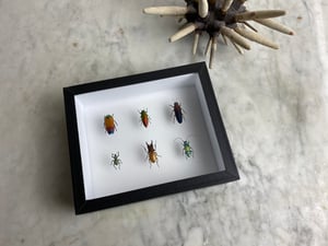 Image of LITTLE JEWELRY BOX (#07)