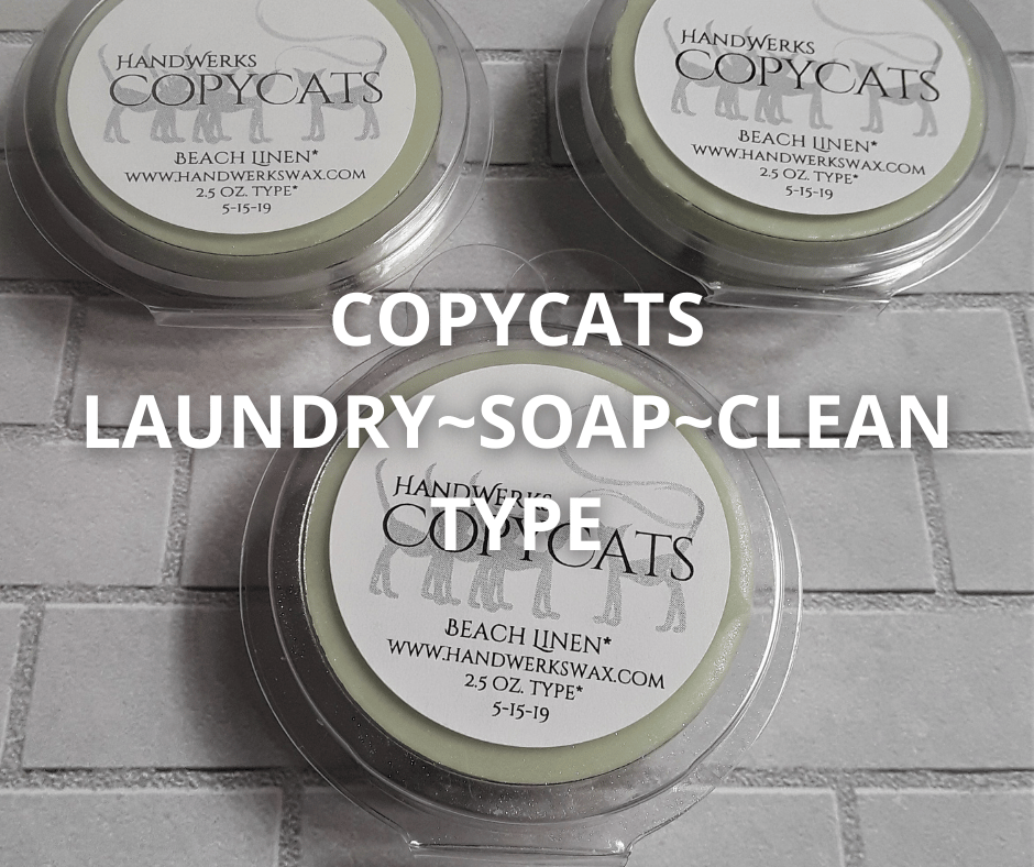 Image of CopyCats Laundry/Soap/Clean