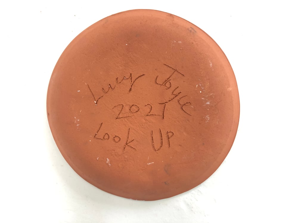 Image of LOOK UP LARGE PLATE 3