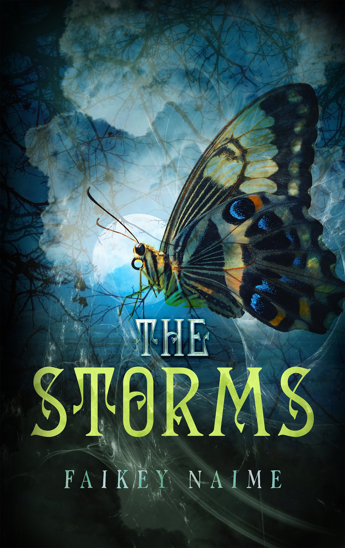 Image of "The Storms"