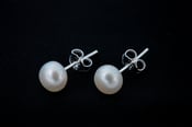 Image of AAA 5-6mm White Pearl Earring S/Stud