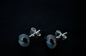 Image of AAA 8-9mm Black Pearl Earring S/Stud