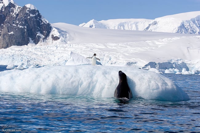 What Are You Doing Here?