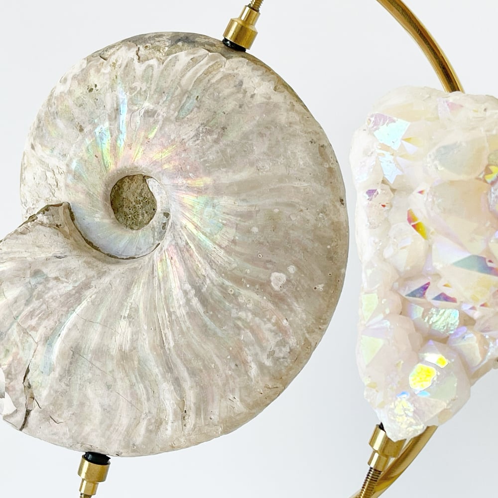 Image of Iridescent Rainbow Ammonite No.75 + Brass Arc Stand