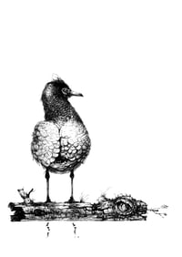 Image 1 of Quiet Life - Print 