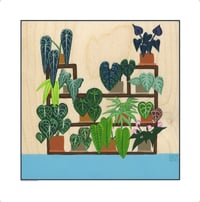 Image 1 of The Anthurium Collection - Print