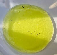 Image 3 of Lemon Drop Wash  Body Ance + Dark spots