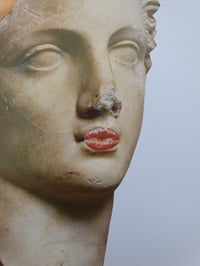 Image 4 of 'Festival Season'