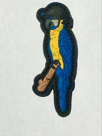 Image 2 of Golden Macaw Patch & Sticker Combo