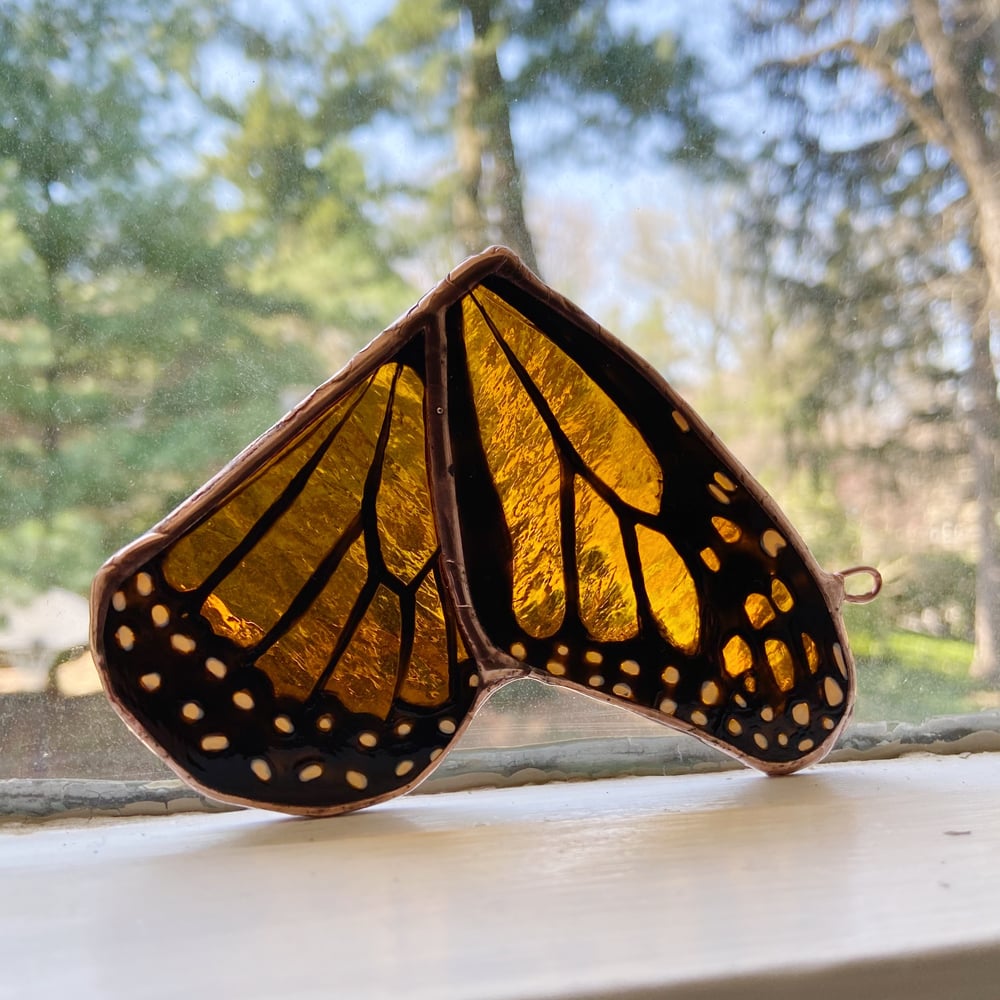 Image of Monarch Wing no.3