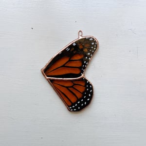 Image of Monarch Wing no.3