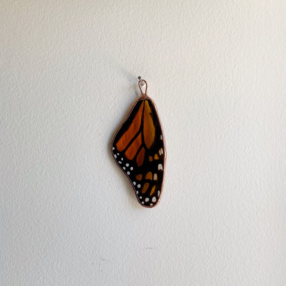 Image of Monarch Wing no.4