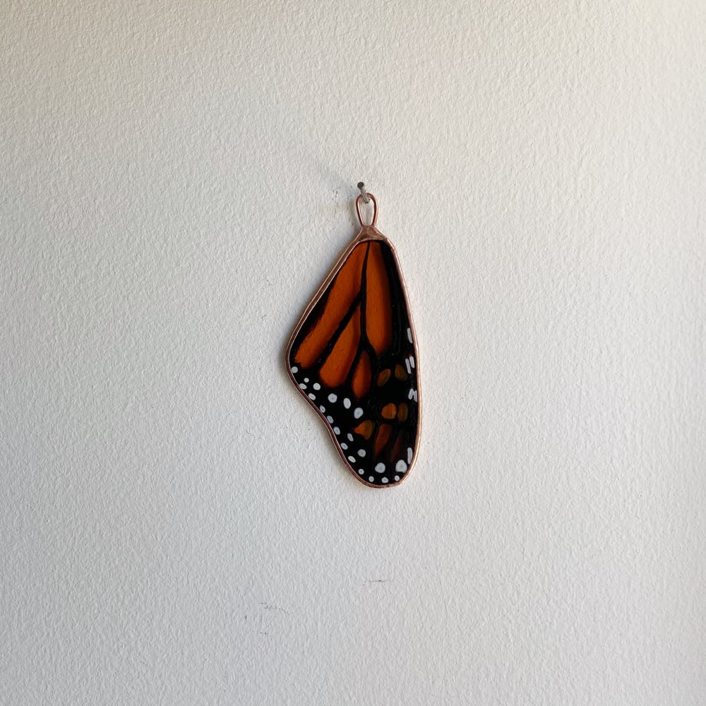 Image of Monarch Wing no.5