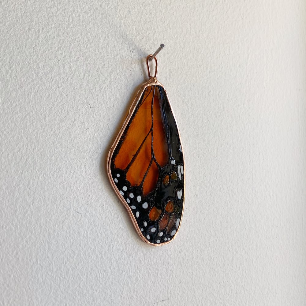 Image of Monarch Wing no.6