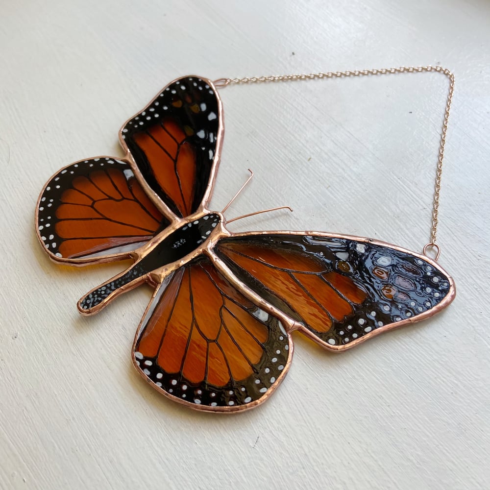 Image of Monarch Butterfly no.1