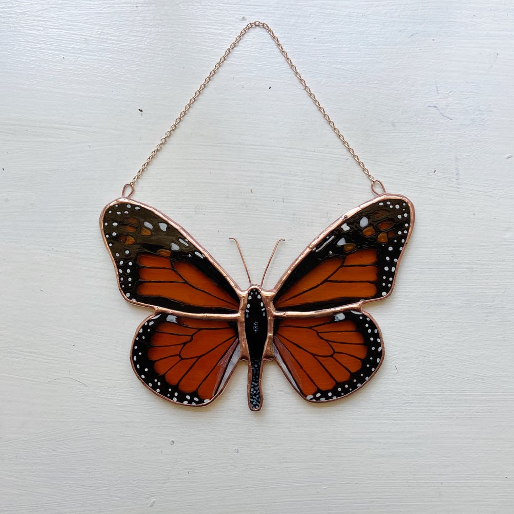 Image of Monarch Butterfly no.1