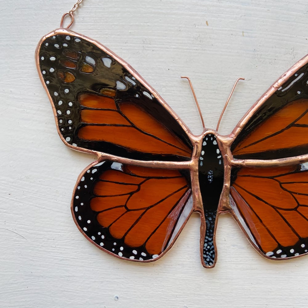Image of Monarch Butterfly no.1