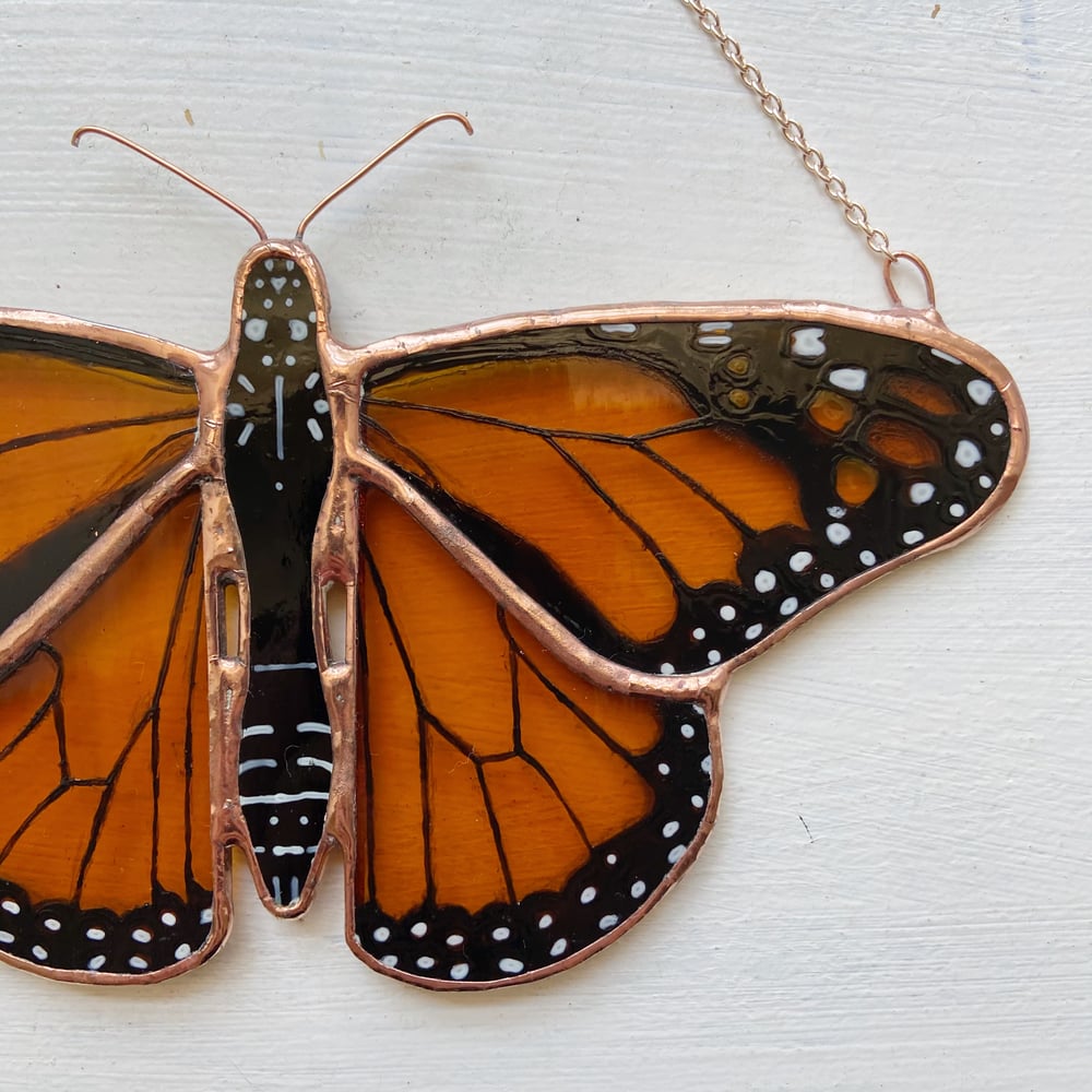 Image of Monarch Butterfly no.2