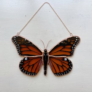 Image of Monarch Butterfly no.3