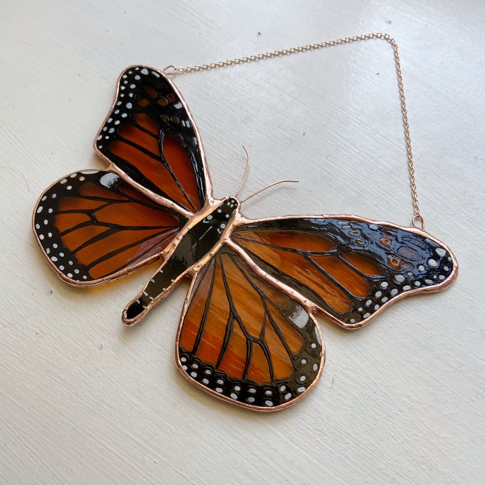 Image of Monarch Butterfly no.3