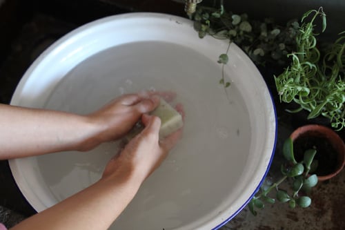 Image of Rosehip + Eucalyptus Soap