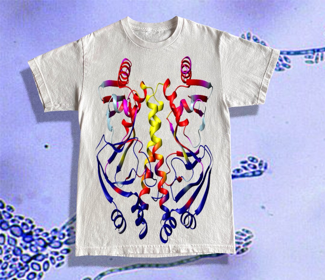 Image of Molecular Dynamics