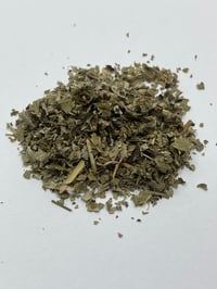 Image 1 of Blueberry Leaf