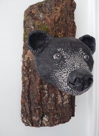 Image 3 of Bear 1
