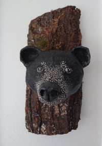 Image 2 of Bear 1
