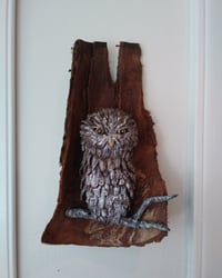 Image 2 of Owl 1