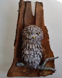 Image 1 of Owl 1