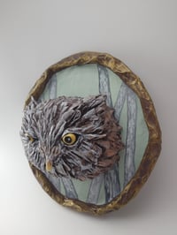 Image 2 of Owl 3