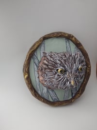 Image 3 of Owl 3