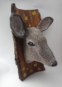Image 2 of Deer 1