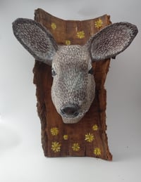 Image 1 of Deer 1