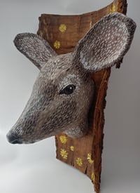 Image 3 of Deer 1