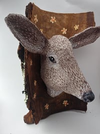 Image 3 of Deer 2