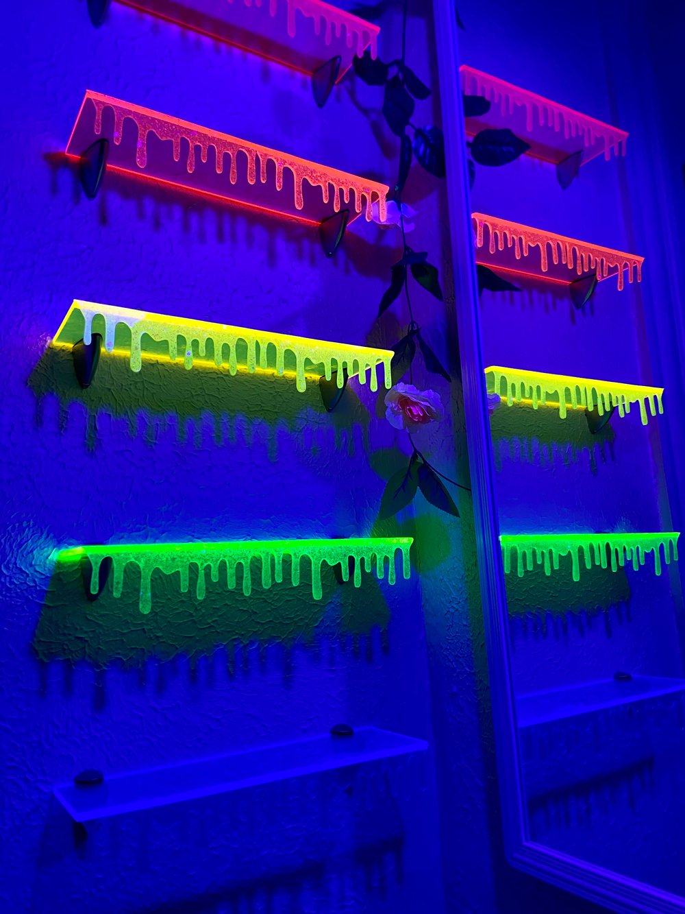  Set of 5 Transparent Neon/UV Shelves