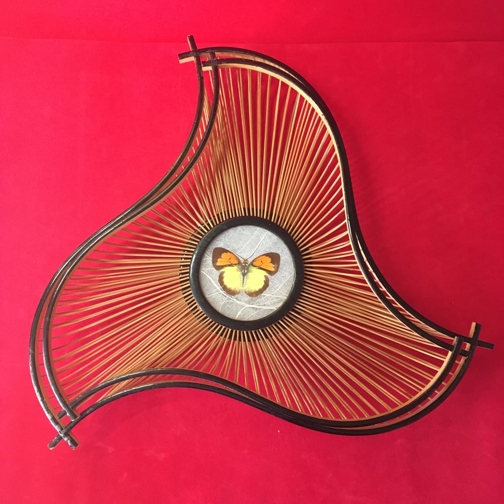 Pair Butterfly cane baskets