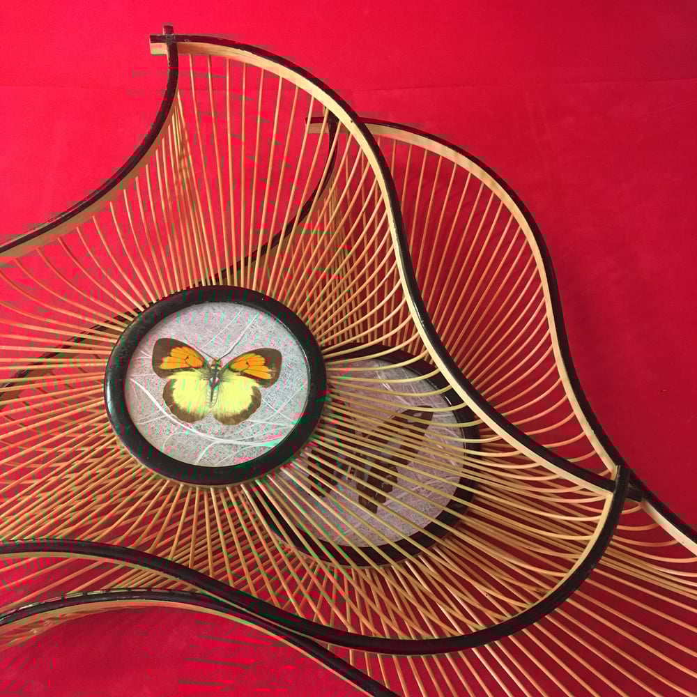 Pair Butterfly cane baskets