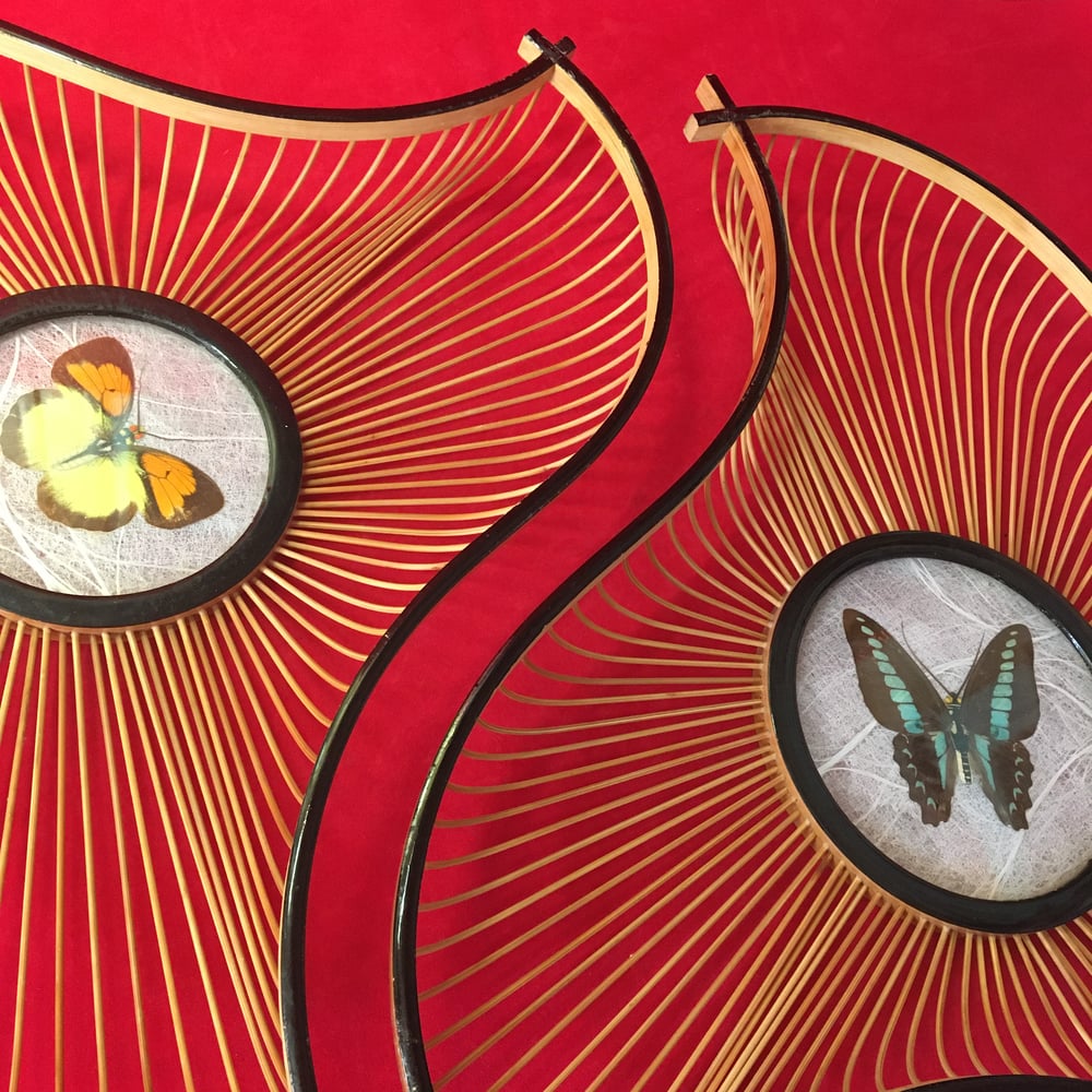 Pair Butterfly cane baskets
